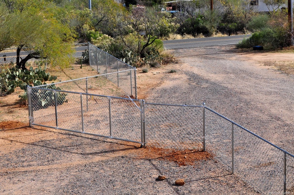 [DSC_0003%255B5%255D.jpg]