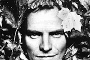 Sting
