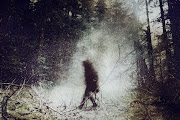 Wolves in the Throne Room
