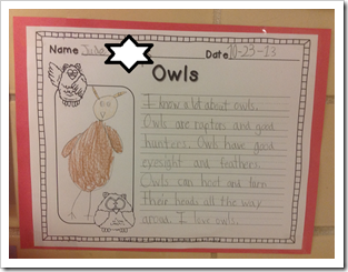 Owl Writing2