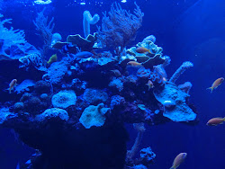 2012-10-20 Mallorca by BREITENGRAD53 - 191