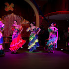 IMG_9254.jpg