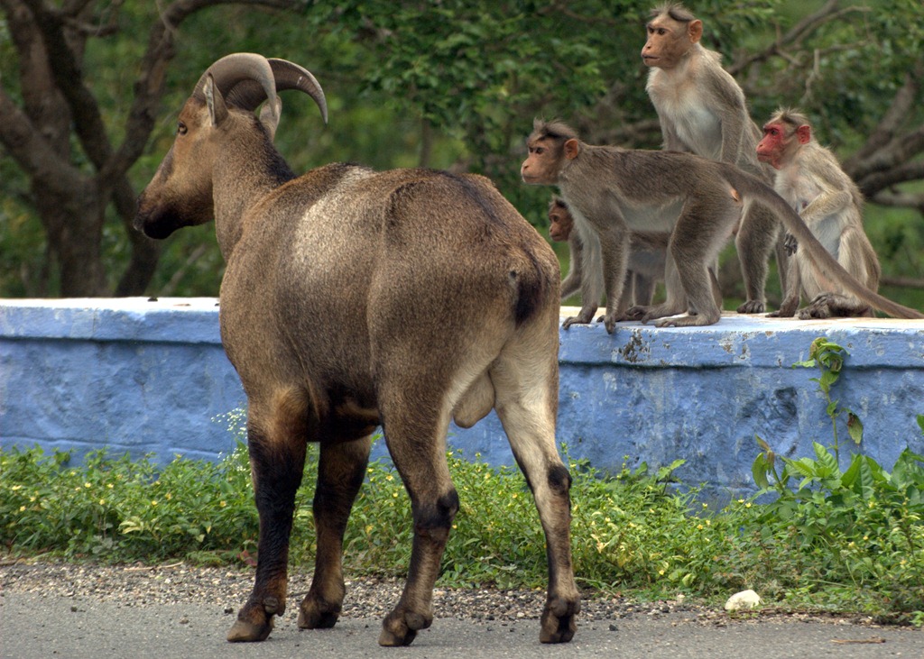 [DSC_3722%255B4%255D.jpg]