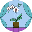 Cristina Mihaela Dumitru profile picture