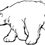 polar-bear-coloring-page.jpg