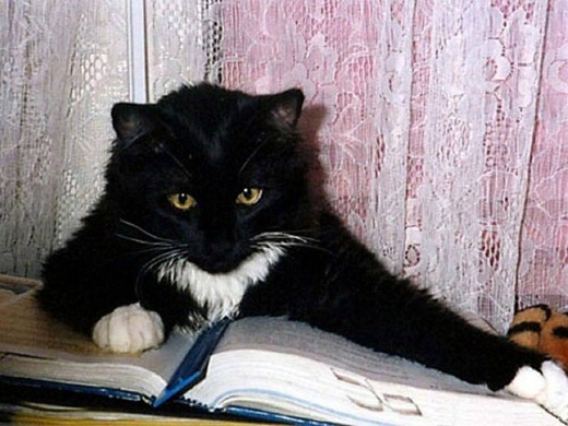 [380400785%255B3%255D.jpg]