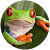 Guillemette Laulagnet Guillemette Laulagnet