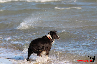 20150104_La franqui014.JPG