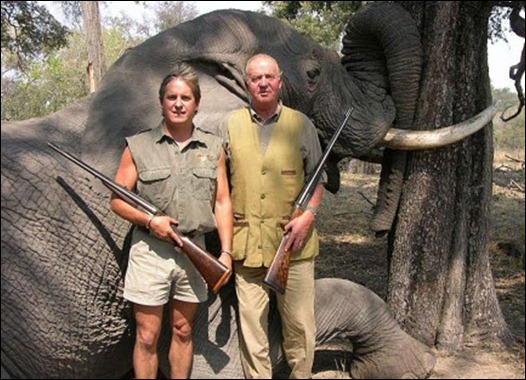 Rei de Espanha mata elefantes