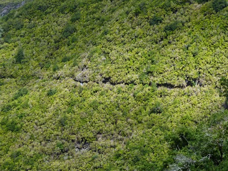 Revelion 2014:  Levadas pe munte