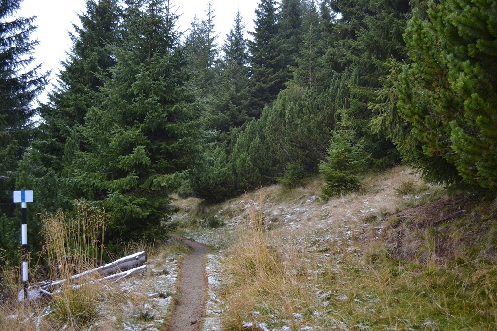 [DSC_15393.jpg]