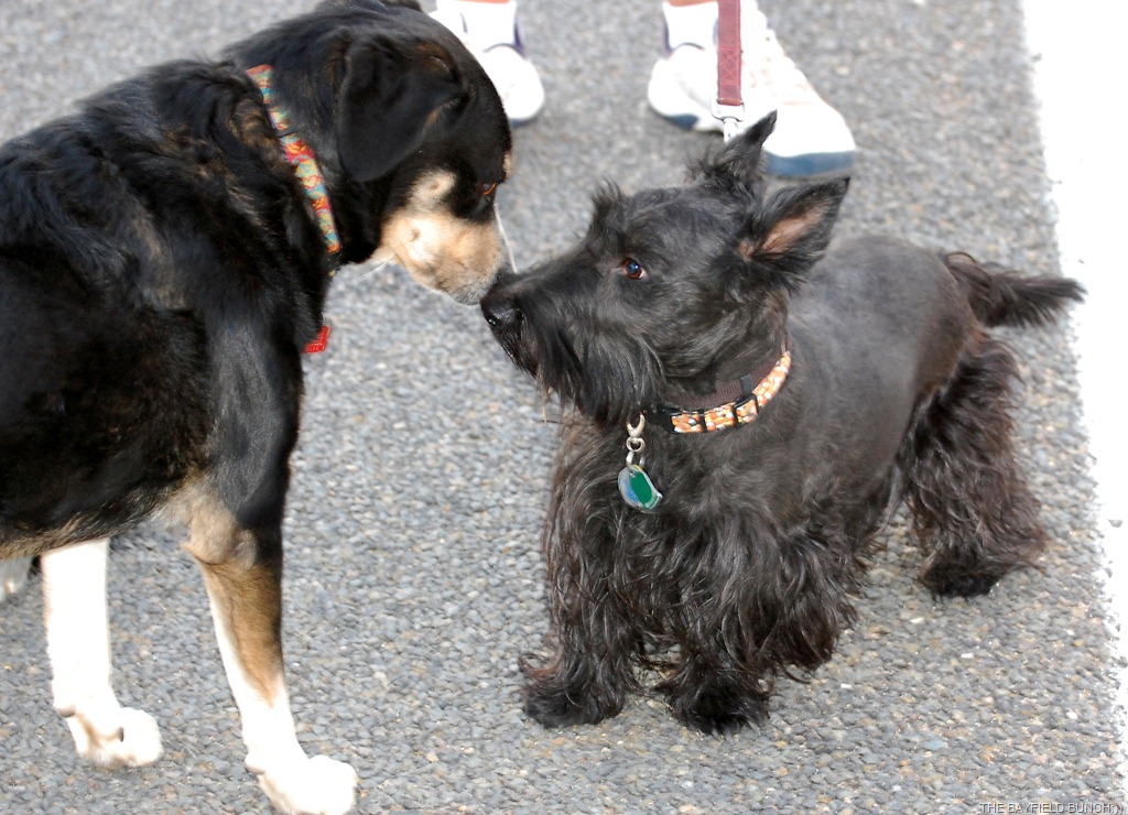 [DSC_7257%255B3%255D.jpg]