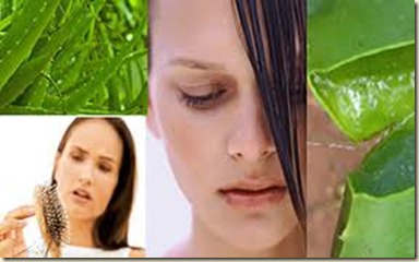 Remedios Caseros para el cabello con Aloe Vera1