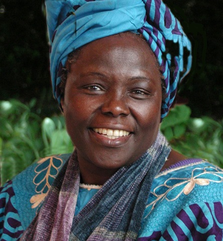 [Wangari-Maathai-by-Martin-Rowe%255B3%255D.jpg]