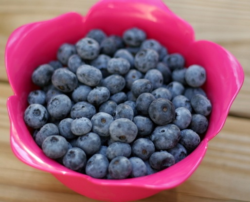 blueberry crumb bars 2