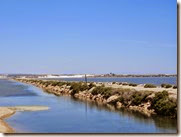 IMG_0454 IMG_0454
