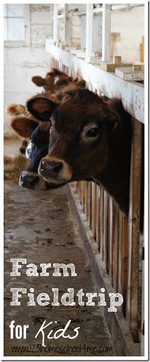Farm Fieldtrip #homeschool #fieldtrip #farm #preschool Farm Fieldtrip #homeschool #fieldtrip #farm #preschool