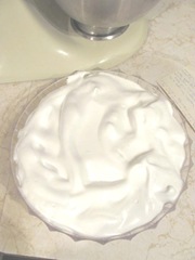snow pudding top view