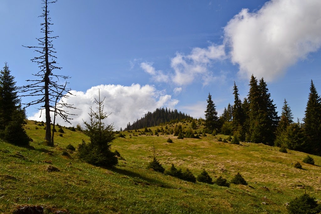 [DSC_78703.jpg]