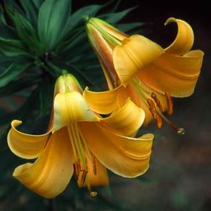 [image%255B79%255D.png]