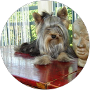 Image Google de monica gonzales