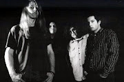 Screaming Trees
