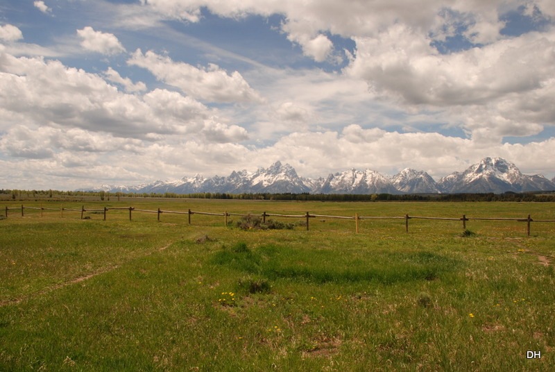 [06-07-13-A-Elk-Ranch-Flats-334.jpg]
