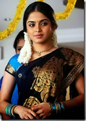 Sheena Shahabadi cute in saree