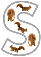 Totally Tots: Now I Know My ABCs ~ Letter S