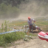 Pogli - By Alessandro Bottani