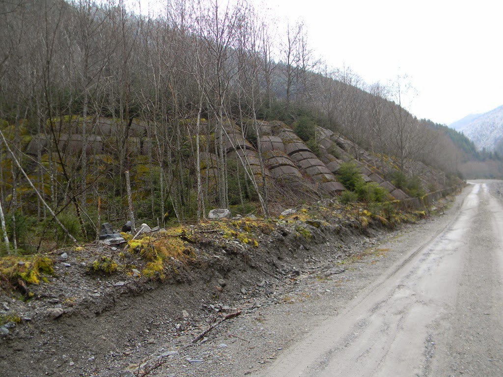 [DSCN04343.jpg]