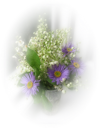 12206401741_fleurs.png