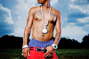 Plies
