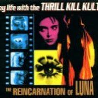 The Reincarnation Of Luna