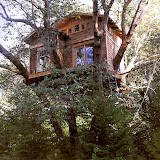 casa-en-arbol-4.jpg