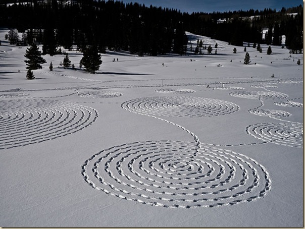 Cercles-dans-la neige-sonja-hinrichsen-1