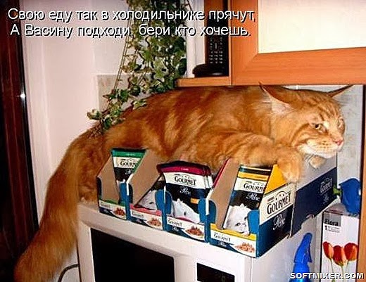 [a0b2464aaf5407768e9c836bbae_prev%255B8%255D.jpg]