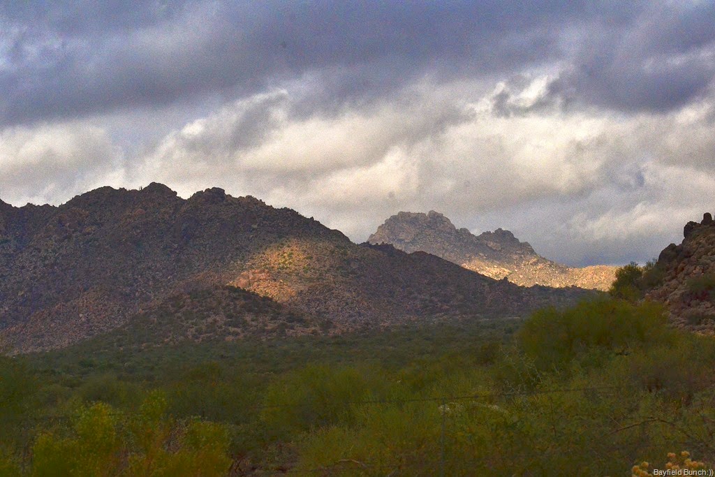 [DSC_0012%255B3%255D.jpg]