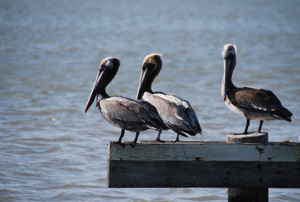 [DSC_3907%255B7%255D.jpg]