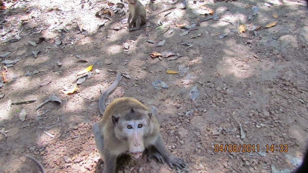 [IMG_0083%255B3%255D.jpg]