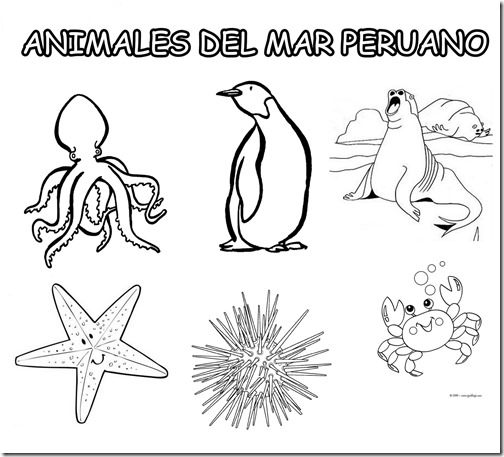 ANIMALES DEL MAR PERUANO