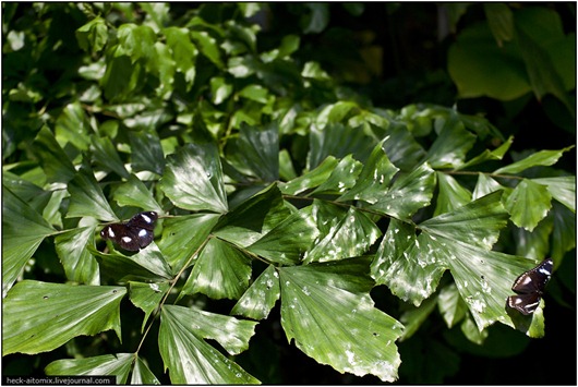 [clip_image007%255B3%255D.jpg]