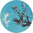 Pier Francesco Petroni profile picture