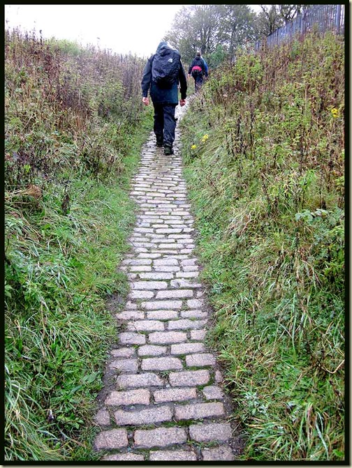 A cobbled path in the Sankey Valley