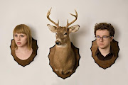 Wye Oak