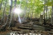 Monkey Trick