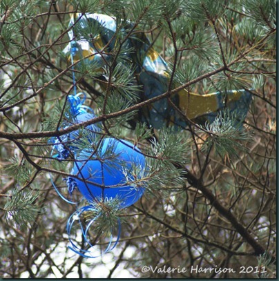 3-balloon-in-tree