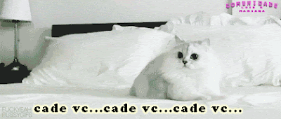 tumblr_lmnwdxoX4P1qjmniro1_500.gif