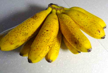 [bananas%255B3%255D.jpg]