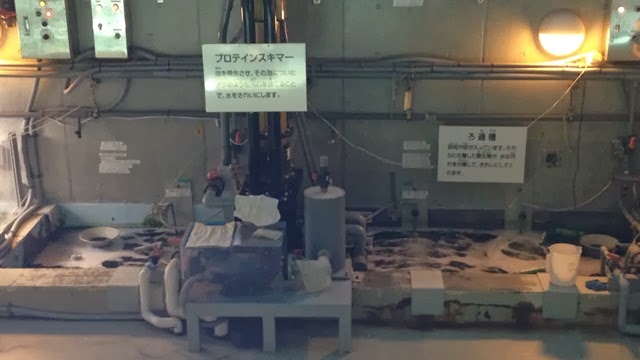葛西臨海公園水族館のプロテインスキマー 20131221_075021538_iOS